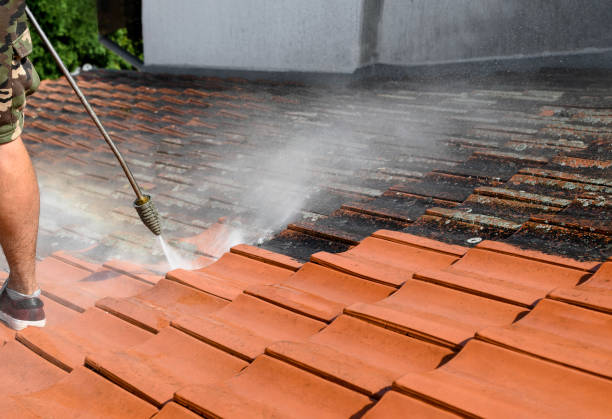 Best Affordable Pressure Washing  in Laguna Park, TX